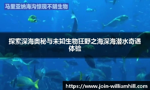 威廉希尔中国
